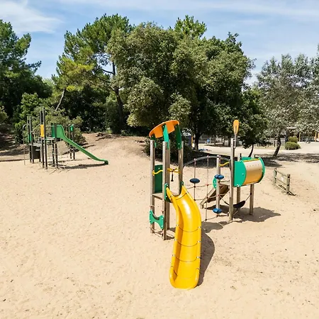 Les Demoiselles Saint-Hilaire-de-Riez