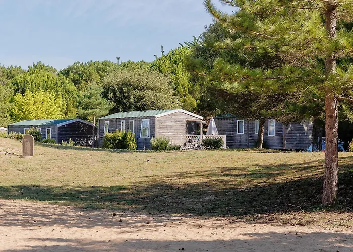 Les Demoiselles Saint-Hilaire-de-Riez