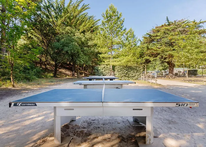 Les Demoiselles 3* Saint-Hilaire-de-Riez